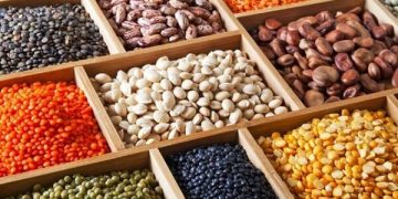 ثبت سفارش واردات انواع حبوبات به زودی آغاز می‌شود