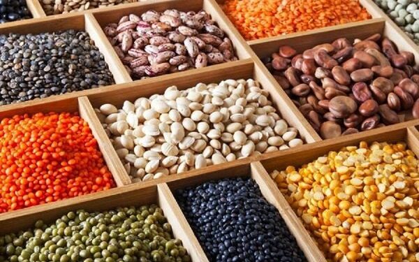 ثبت سفارش واردات انواع حبوبات به زودی آغاز میشود