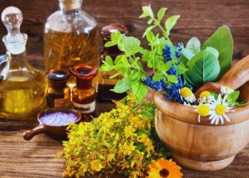 سهم ایران در بازار پول‌ساز گیاهان دارویی کمتر از ۰/۰۵ درصد است