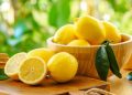لیموترش از تشکیل سنگ کلیه پیشگیری می‌کند؟