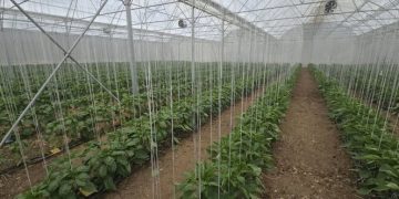 امکان انحراف سازمانیافته سوخت سهمیهای گلخانهای وجود ندارد