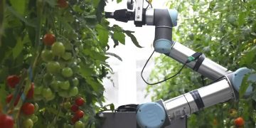 ربات باغبان چین شگفتی آفرید
