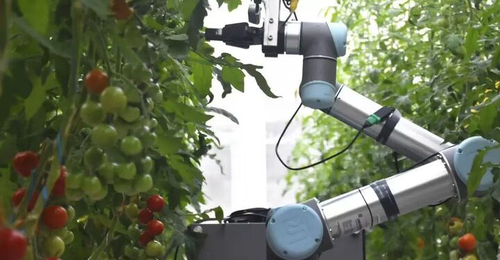 ربات باغبان چین شگفتی آفرید