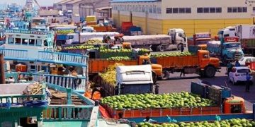 کالا‌های کشاورزی ایرانی در بازار‌های صادراتی خواهان دارند/ادعا‌ها درباره برگشت محصولات کشاورزی بزرگ‌نمایی است