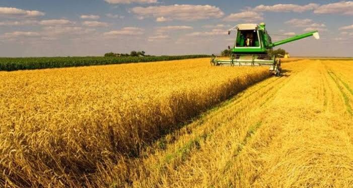 صدور سند برای ۱۸ هزار و ۸۶۳ قطعه از اراضی کشاورزی چهارمحال و بختیاری