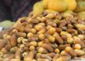 هرمزگان چهار فصل، یک گام تا تکمیل زنجیره ارزش کشاورزی