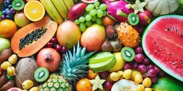 میوه‌هایی که سلامتی را تضمین می‌کنند