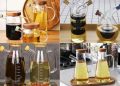 مناسب ترین روغن برای آشپزی کدام است؟