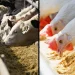 درخواست وزارت جهاد کشاورزی از بانک مرکزی برای تسریع در نهایی‌سازی ابزارهای تأمین مالی