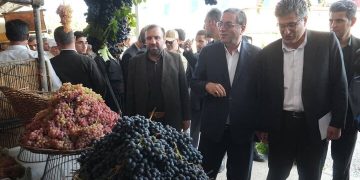 استاندار آذربایجان غربی: انگور سیاه میرآباد در بازارهای داخلی و خارجی معرفی شود