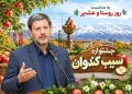 پیشبینی تولید بیش از ۱۷۰ هزار تن سیب در میانه