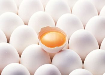 روز جهانی تخم‌مرغ؛ فرصتی برای ترویج مصرف و حمایت از تولیدکنندگان