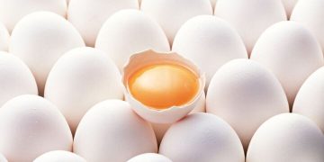 روز جهانی تخم‌مرغ؛ فرصتی برای ترویج مصرف و حمایت از تولیدکنندگان
